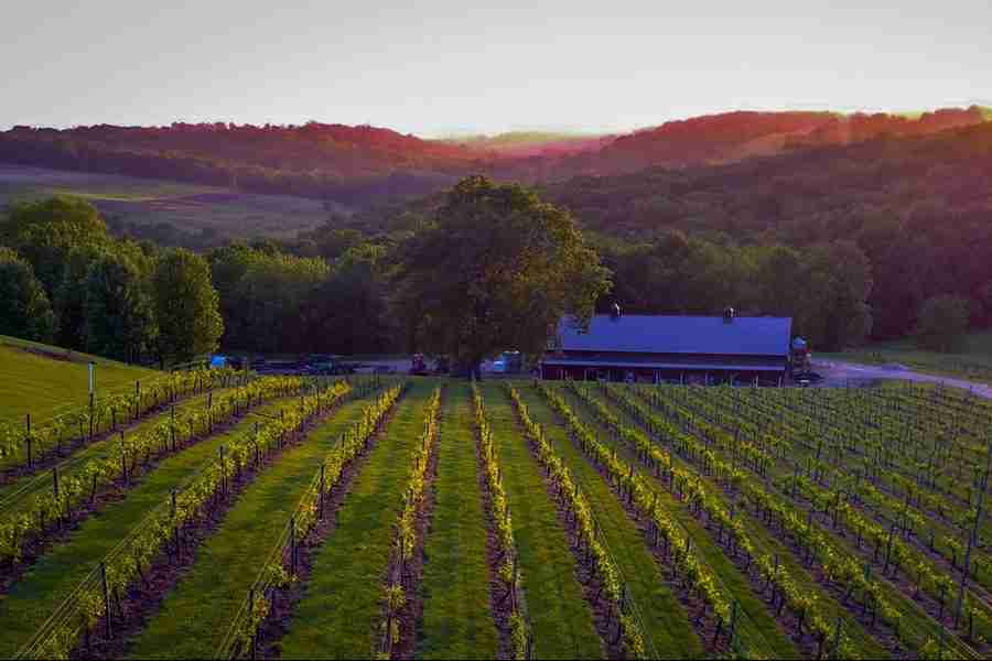 park farm winery vineyard