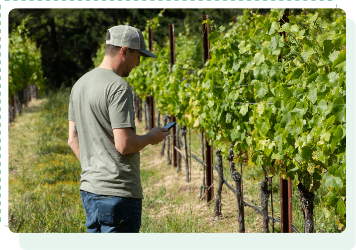 Vineyard manager using Lumo's irrigation management tool