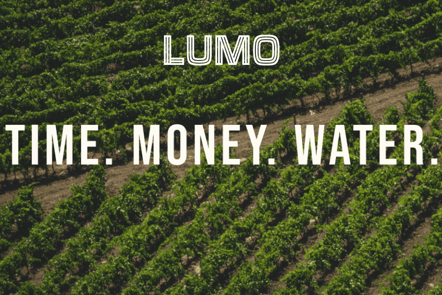 Lumo helps growers save time, money and water