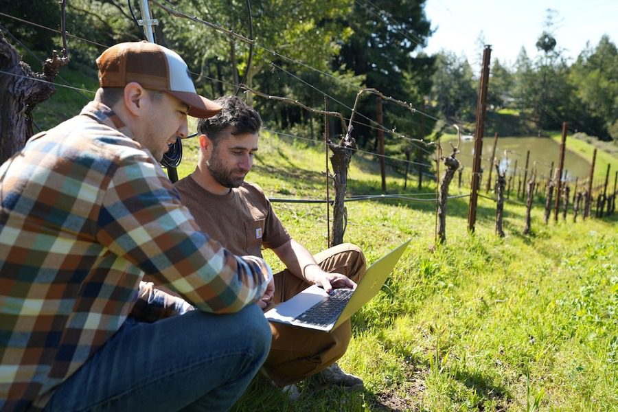 Two Lumo employees look at irrigation flow rate data on a laptop in a vineyard