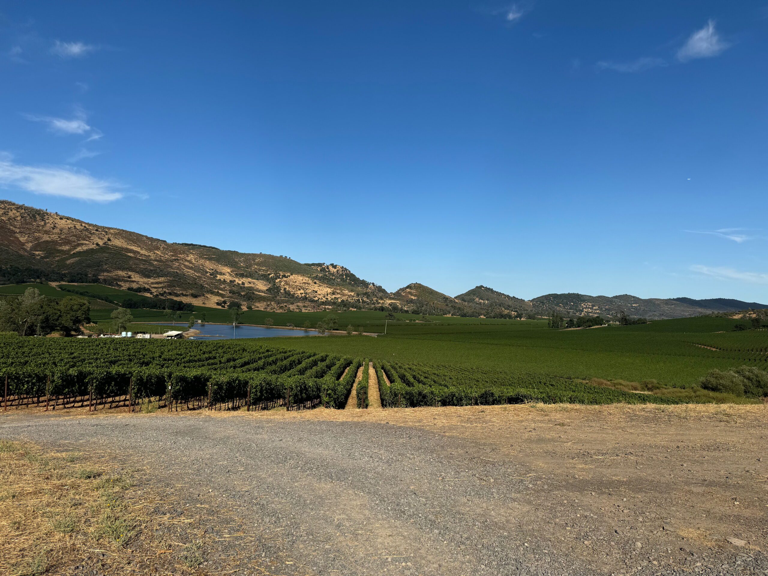 Antinori's Antica Ranch