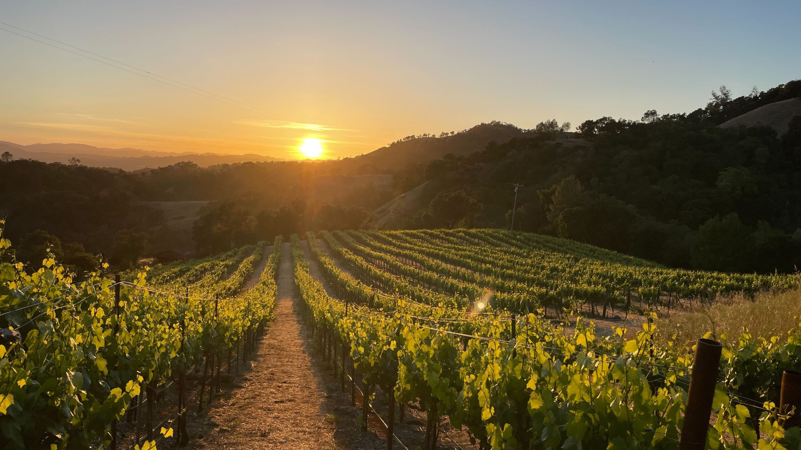 Costello Ranch at Sunset