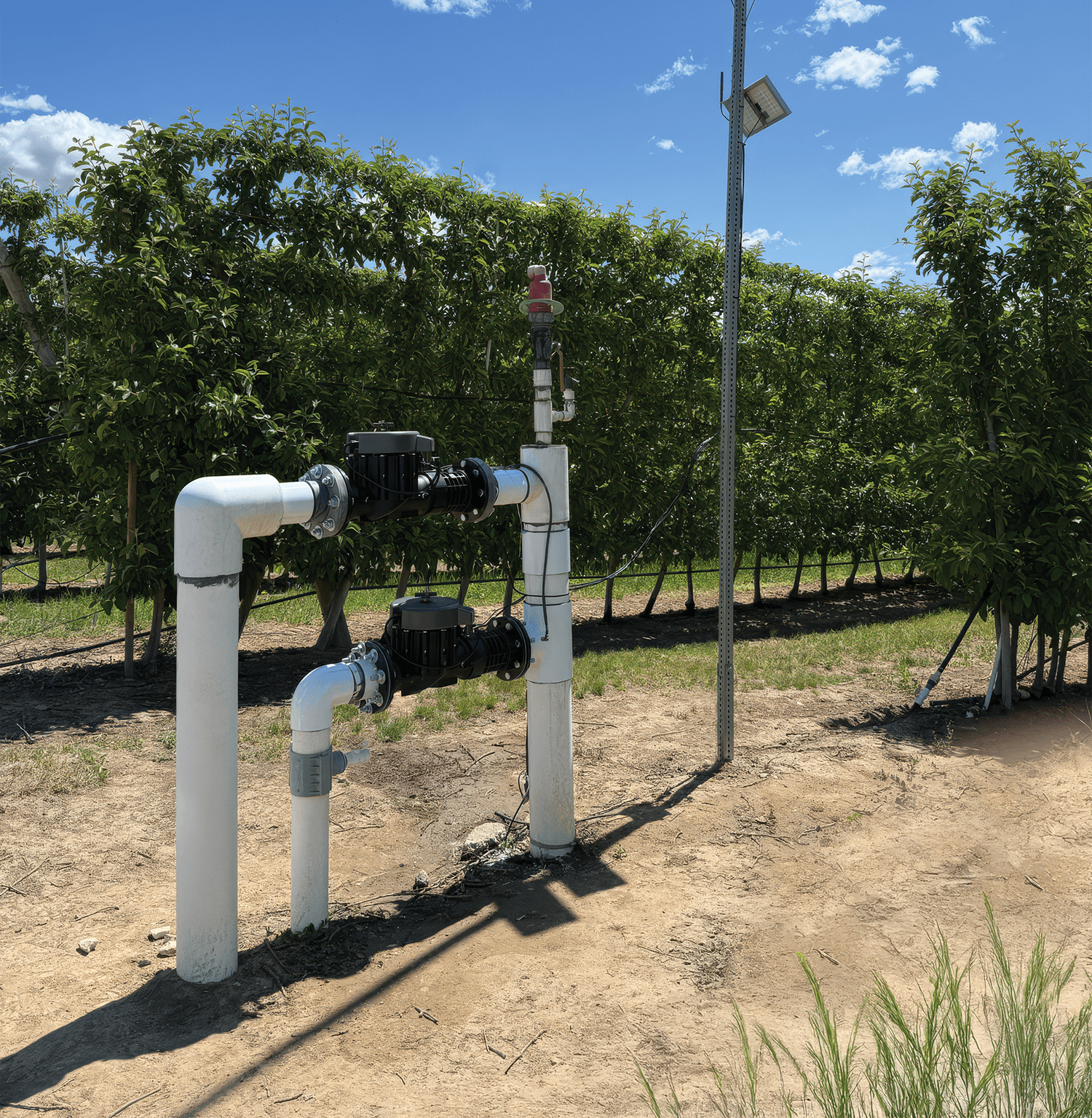 Two of Lumo's 4" smart irrigation valves installed in a washington orchard