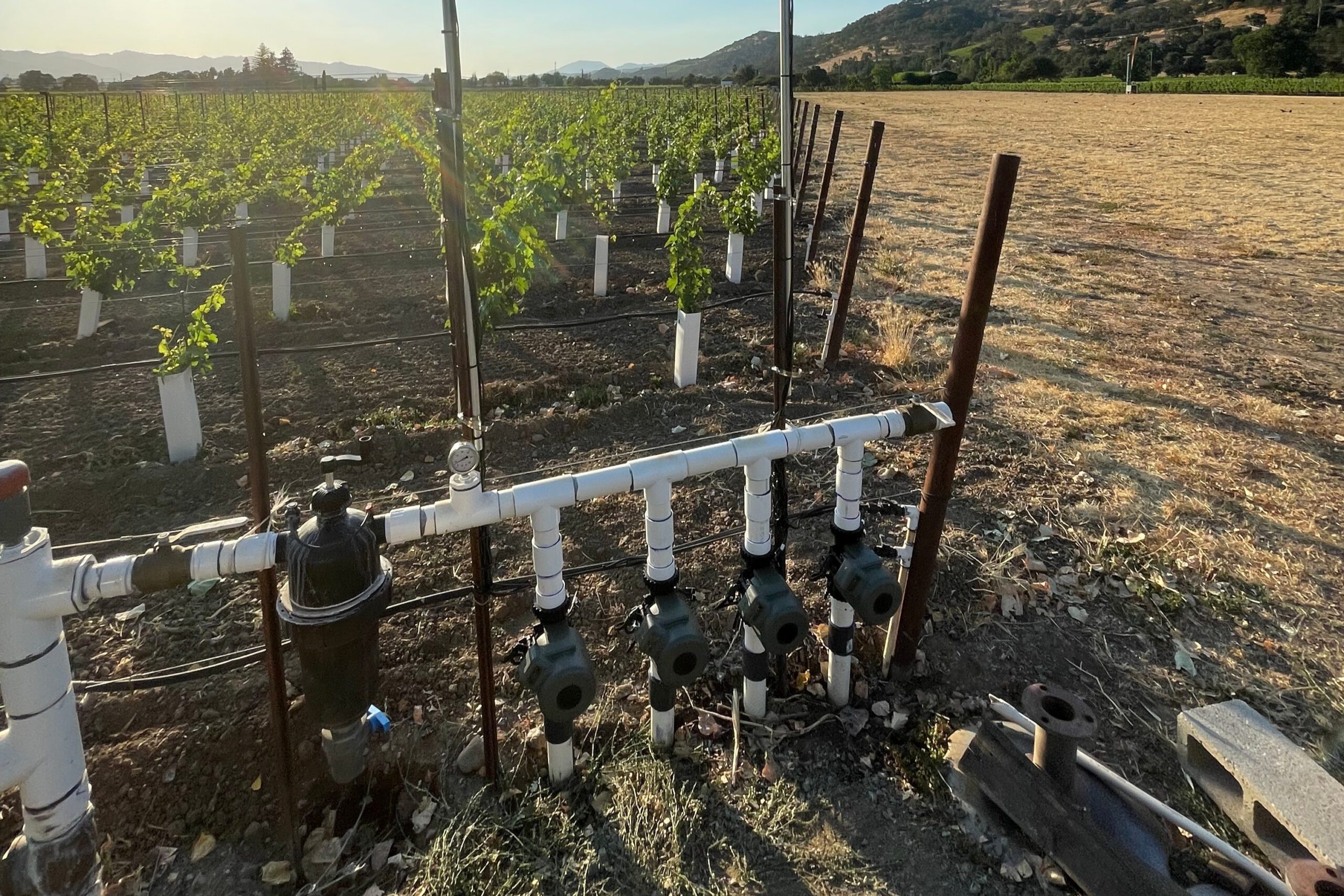 Lumo installed at new vineyard development