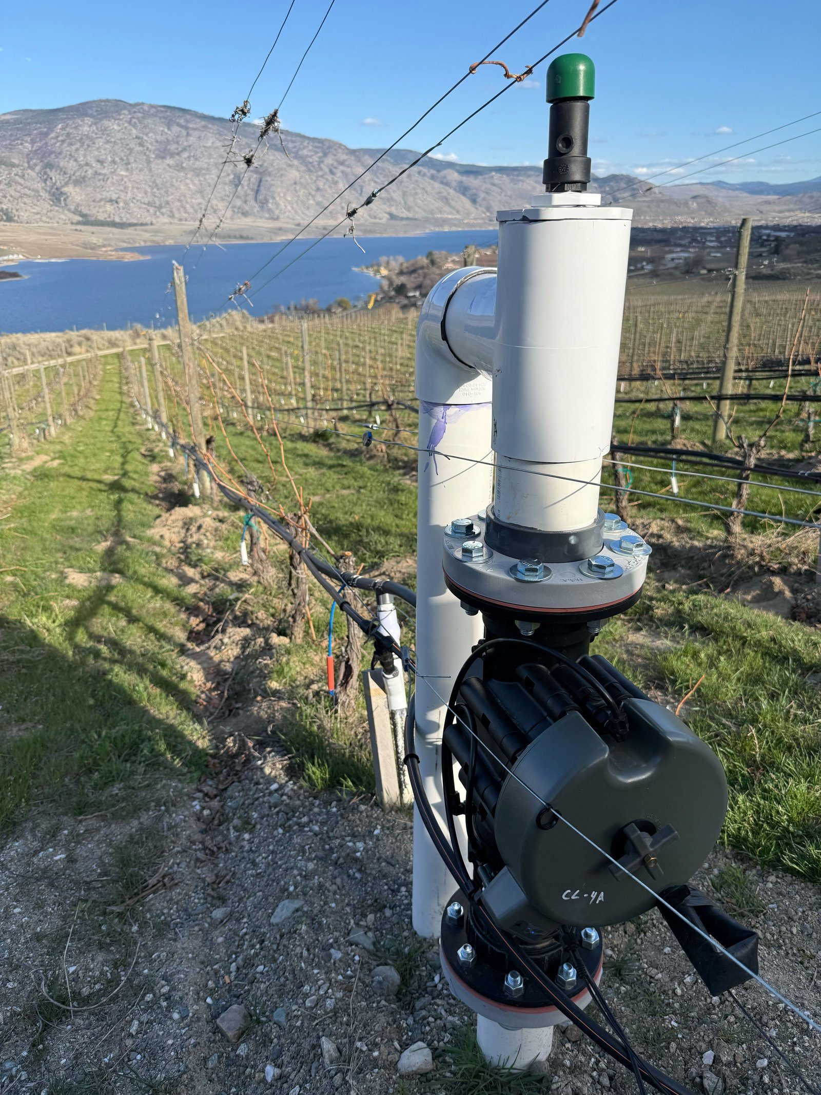 The Okanagan