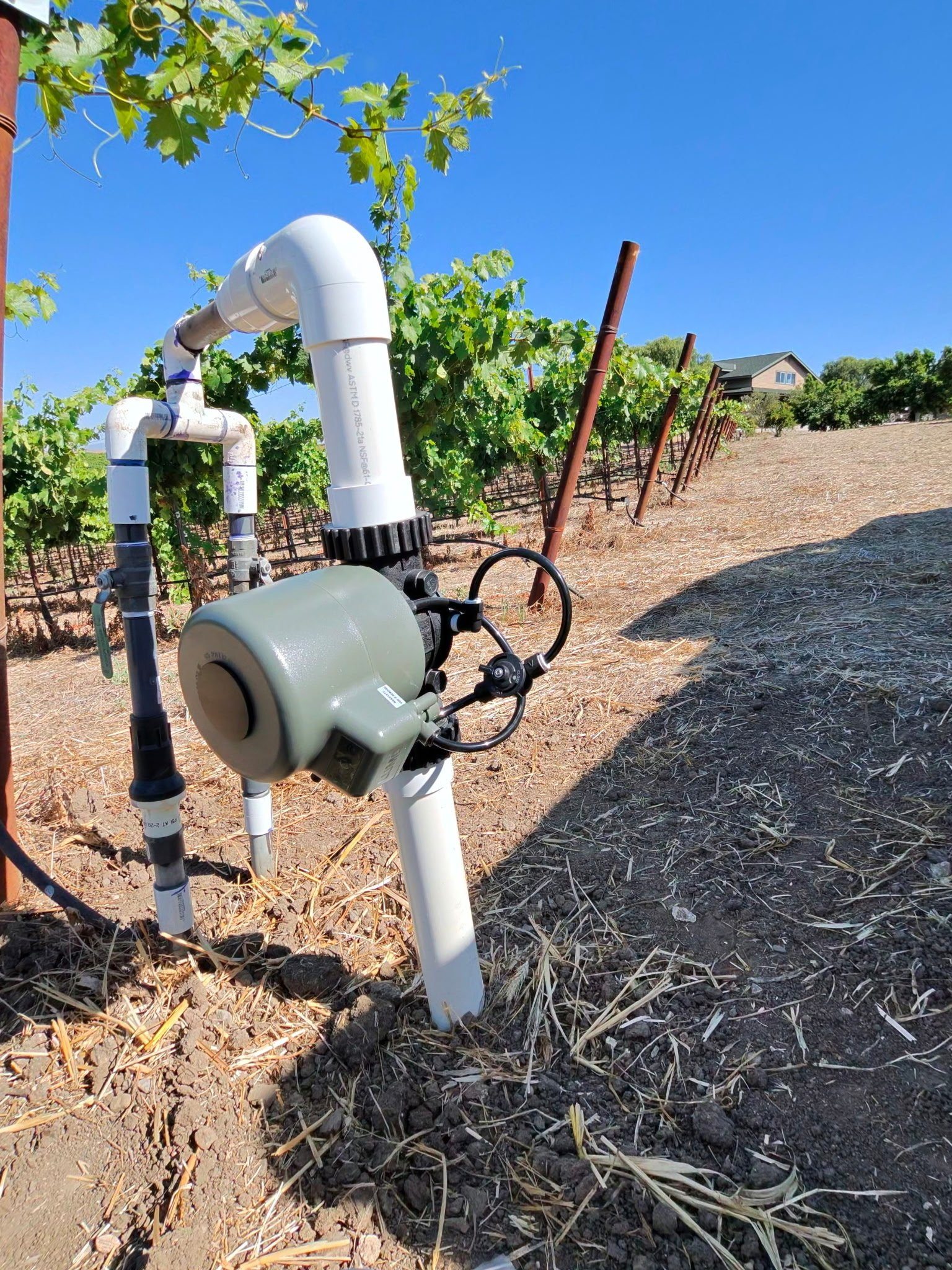Paso Robles