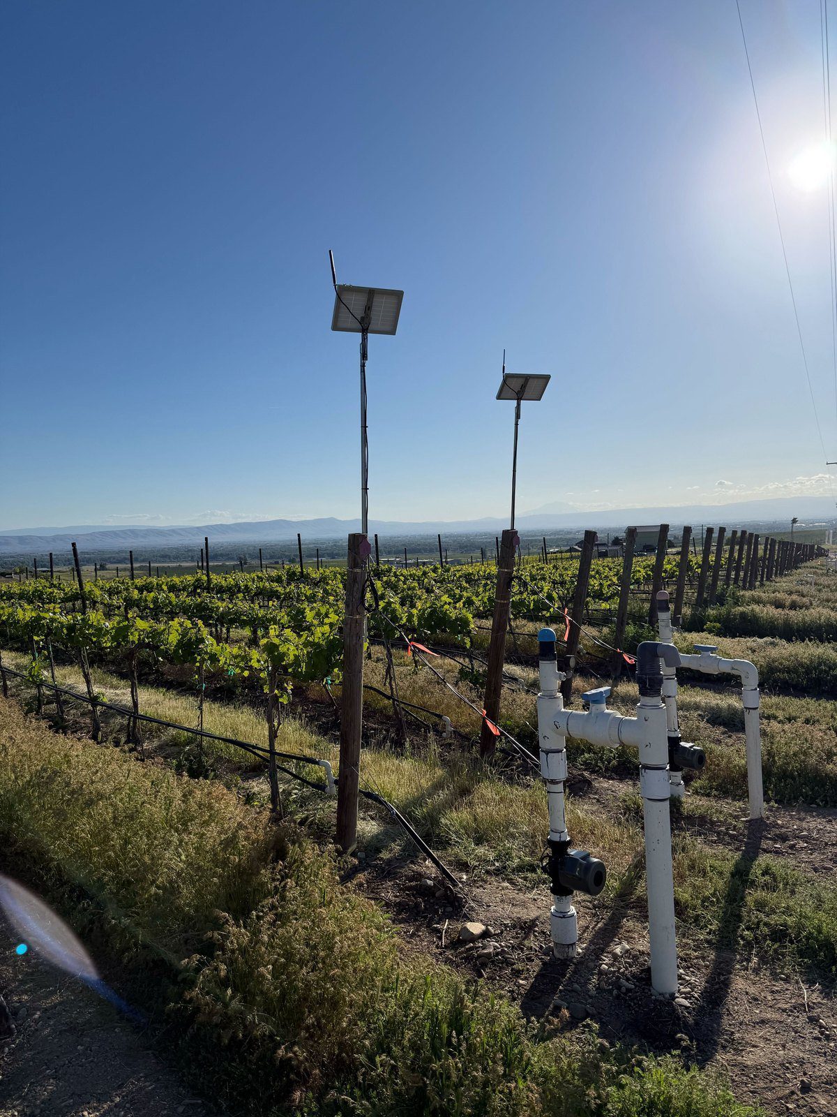 Yakima Valley